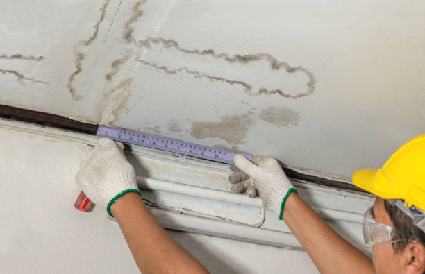 Reliable Sewage Cleanup contractor in Fulton, MI by Water Damage Irwin